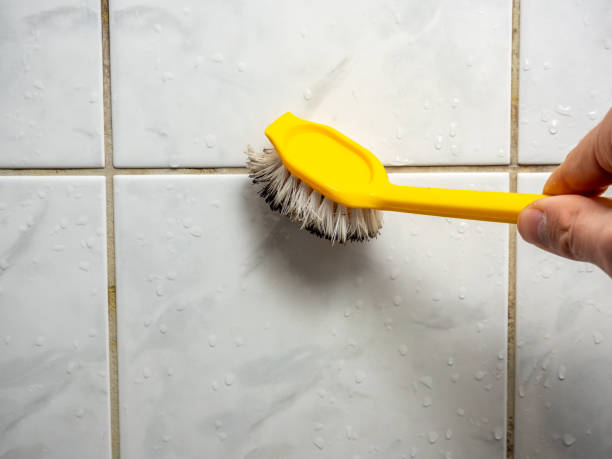 Best Toxic Mold Removal  in Crest Hl, IL