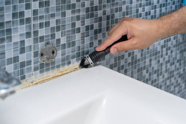 Best Affordable Mold Removal  in Crest Hl, IL