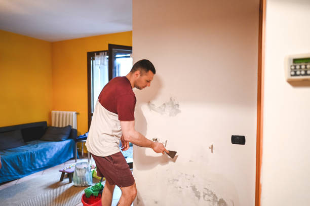Best Home Mold Removal  in Crest Hl, IL